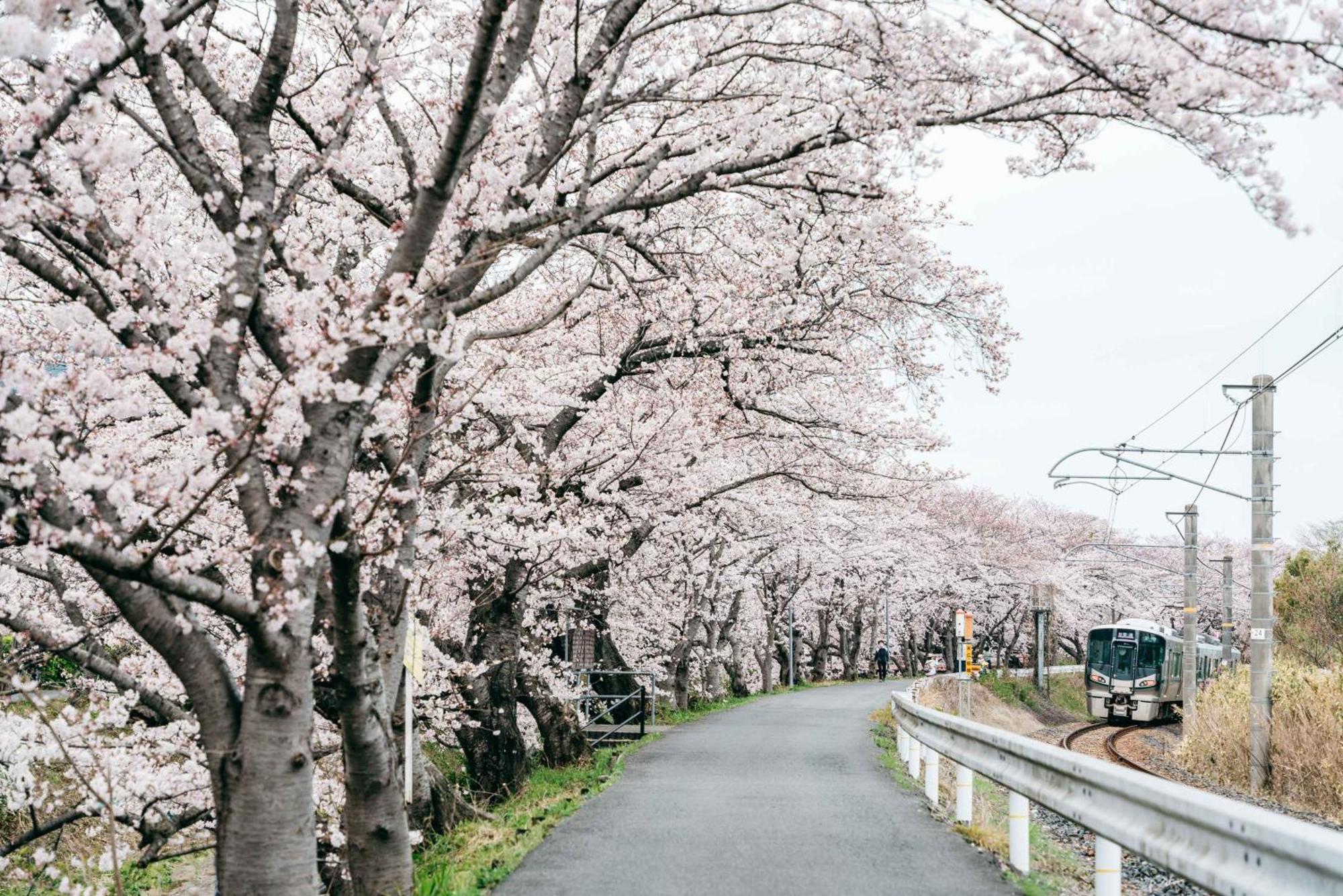 ホテル Rita Gosemachi エクステリア 写真