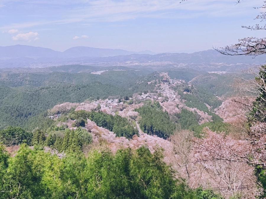 ホテル Rita Gosemachi エクステリア 写真