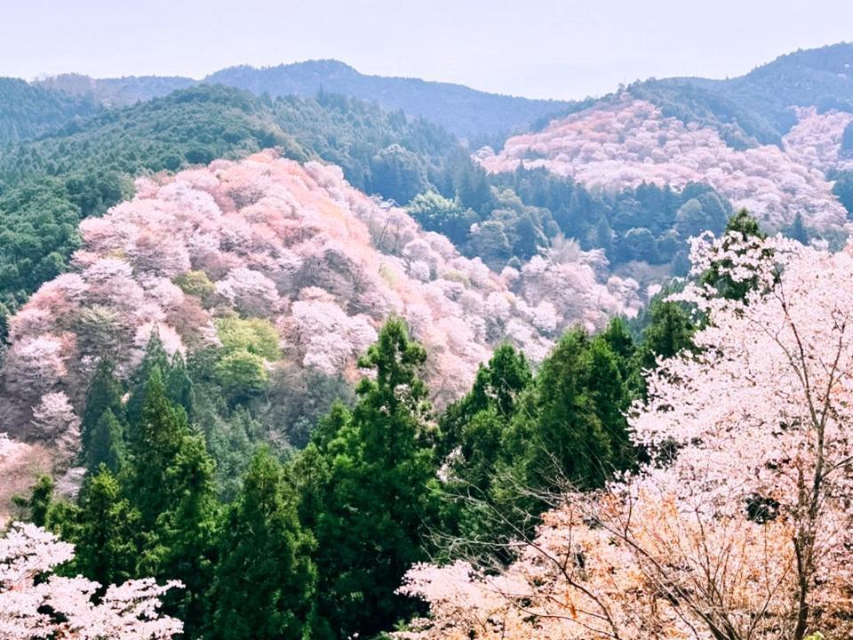 ホテル Rita Gosemachi エクステリア 写真