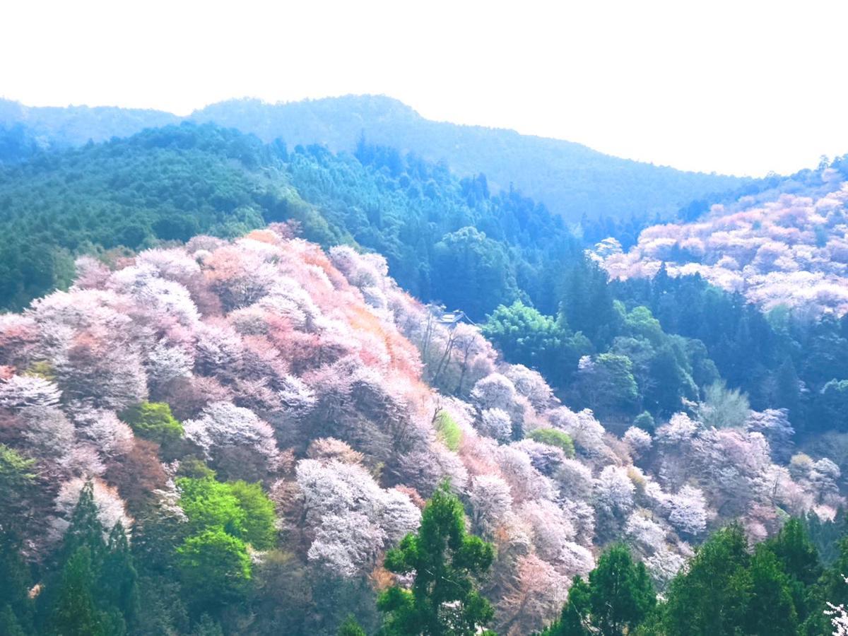 ホテル Rita Gosemachi エクステリア 写真
